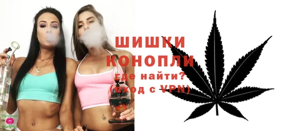 мдпв Новозыбков