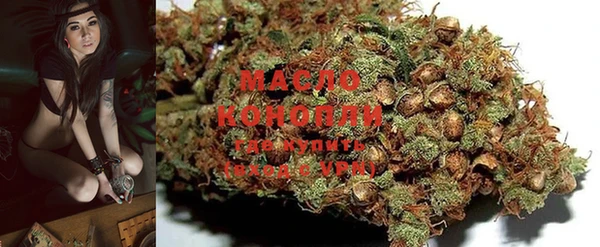 мдпв Новозыбков
