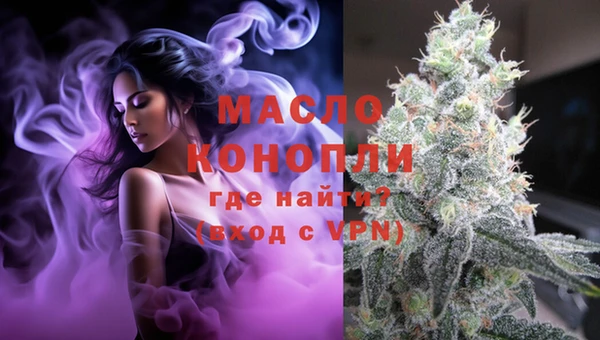 мдпв Новозыбков