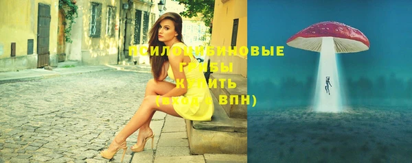 винт Новокубанск