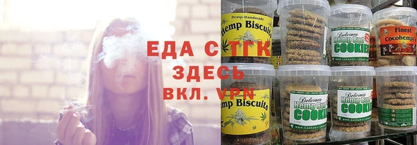 мдпв Новозыбков